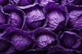 Purple cabbage background, top view. Close-up of purple cabbage.