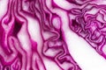 Purple cabbage closeup