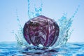 Purple cabbage with water splashes, 3D rendering Royalty Free Stock Photo