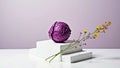Purple cabbage on white blocks with yellow flowers against lavender background Royalty Free Stock Photo