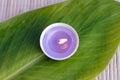 Purple candle on a green leaf