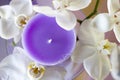 A Purple Candle Surrounded By White Flowers