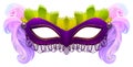 Purple carnival mask with feathers
