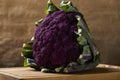 Purple cauliflower dietary and nutritious food