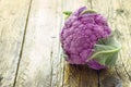 Purple cauliflower Royalty Free Stock Photo