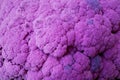 Purple cauliflower on a market stall Royalty Free Stock Photo