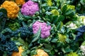 Purple cauliflower, orange cauliflower and Roman cauliflower on