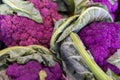 Purple cauliflower on shop counter close up.