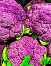 Cauliflower , brilliant rich purple color