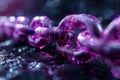 Purple chain with binary code on black background, blockchain concept, technology and business digital data transfer Royalty Free Stock Photo