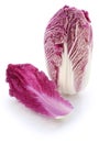 Purple chinese cabbage Royalty Free Stock Photo