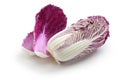 Purple chinese cabbage Royalty Free Stock Photo