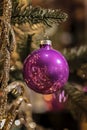 Purple christmas ball hanging on a branch Royalty Free Stock Photo