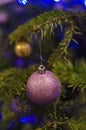 Close up of purple Christmas tree decorations Royalty Free Stock Photo