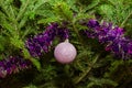 Close up of purple Christmas tree decorations Royalty Free Stock Photo