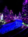 Purple Christmas Trees along Blue Stream