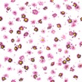 Purple Chrysanthemum and Daisy Buds Pattern