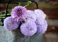 Purple chrysanthemum flower and dahlia in metal basket blurring