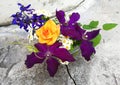 Purple clematis, delphinium, daisies on a stone background