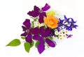 Purple clematis, delphinium, daisies on a white background