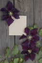 Purple clematis flowers on old paper. Royalty Free Stock Photo