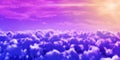 Purple clouds. Processed 3D illustration sunny cloudscape with camera lens flare