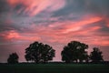 Purple cloudy sunset sky in the view of trees in the field Royalty Free Stock Photo