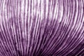 Purple color abstract uneaven texture Royalty Free Stock Photo