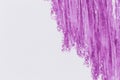 Purple color crayon hand drawing texture Royalty Free Stock Photo