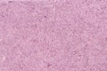 Purple color Fiberboard MDF Wood abstract Background texture Royalty Free Stock Photo