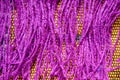 Purple Color Wool Detailed Threads Close Up on Dork Yellow Background Stock Photograph Royalty Free Stock Photo