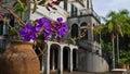 Purple colored blossom of tropical tree in front of stately historic mansion in botanical garden. Royalty Free Stock Photo