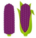 Purple corn cobs illustration Royalty Free Stock Photo