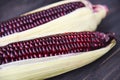 Purple corn fresh on cob on wooden dark background / Siam Ruby Queen or sweet red corn Royalty Free Stock Photo