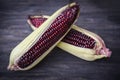 Purple corn fresh on cob on wooden dark background - Siam Ruby Queen or sweet red corn - selective focus Royalty Free Stock Photo