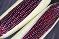 Purple corn fresh on cob on wooden dark background / Siam Ruby Queen or sweet red corn Royalty Free Stock Photo