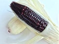 Purple corn