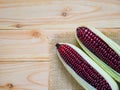 Purple corn or purple maize