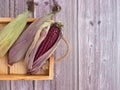 Purple corn or Siam ruby Queen while in a wooden box on a wood table. Royalty Free Stock Photo