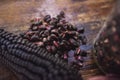 Purple corn on wooden table, selective blur