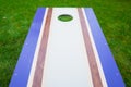 Purple Cornhole Bean Bag Toss Game