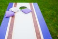 Purple Cornhole Bean Bag Toss Game