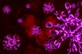 Purple coronavirus cells in human body