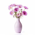 Purple Cosmos Flowers In White Vase - Stock Photo Royalty Free Stock Photo