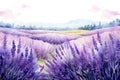 Purple countryside violet flower summer nature provence plant field france landscape background