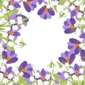 Purple Crocus and white Convallaria majalis. Green flower pattern, grass. Flat vector illustration on white background