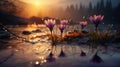 Purple Crocuses Reflected In Water At Sunrise: Unreal Engine 5 Fairytale-inspired Delicate Flora