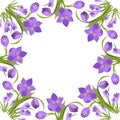 Purple crocuses in the snow vector.