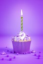 purple cupcake with a green candle