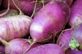 Purple Daikon Radishes 836623